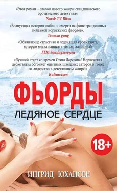 Ингрид Юхансен Фьорды. Ледяное сердце обложка книги