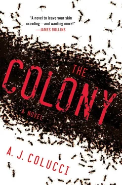 A. Colucci The Colony обложка книги