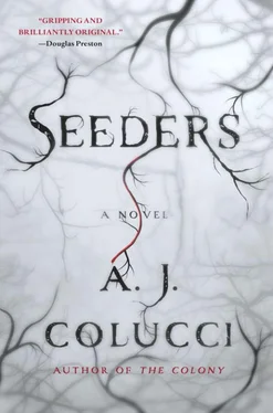 A. Colucci Seeders обложка книги