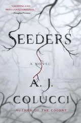 A. Colucci - Seeders