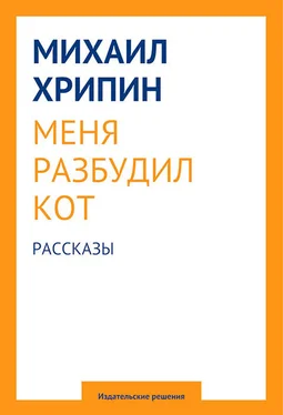 Михаил Хрипин Меня разбудил кот (сборник) обложка книги