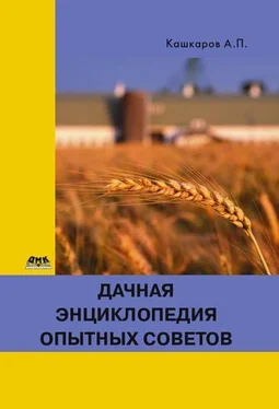 Андрей Кашкаров Дачная энциклопедия опытных советов обложка книги