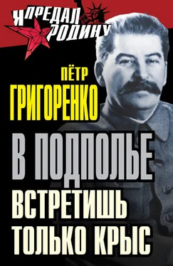 Петр Григоренко В подполье встретишь только крыс обложка книги