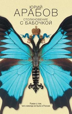 Юрий Арабов Столкновение с бабочкой