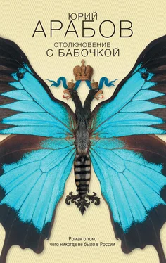 Юрий Арабов Столкновение с бабочкой обложка книги