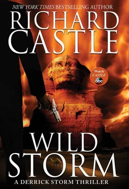 Richard Castle Wild Storm обложка книги