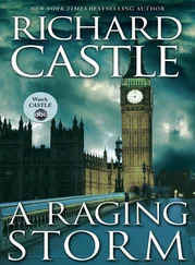 Richard Castle - A Raging Storm
