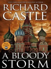 Richard Castle - A Bloody Storm
