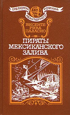 Висенте Паласио Пираты мексиканского залива обложка книги
