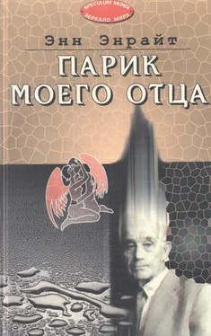 Энн Энрайт Парик моего отца обложка книги