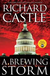 Richard Castle - A Brewing Storm