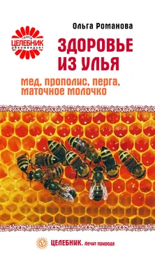 Ольга Романова Здоровье из улья. Мед, прополис, перга, маточное молочко обложка книги