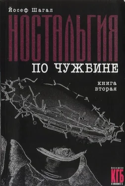 Йосеф Шагал Ностальгия по чужбине. Книга вторая обложка книги