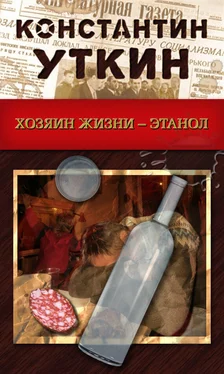 Константин Уткин Хозяин жизни – Этанол обложка книги