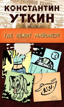 Константин Уткин Забавные моменты, или «Где лежит майонез?» обложка книги
