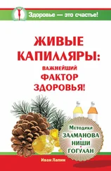 Иван Лапин - Живые капилляры - Важнейший фактор здоровья! Методики Залманова, Ниши, Гогулан