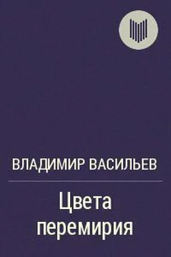 Владимир Васильев Цвета перемирия обложка книги