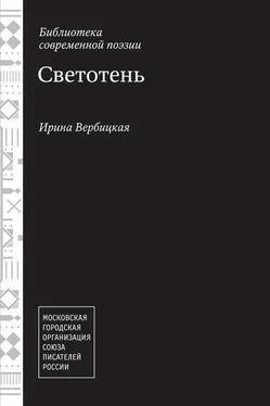 Ирина Вербицкая Светотень обложка книги