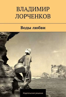 Владимир Лорченков Воды любви (сборник) обложка книги