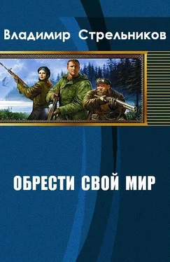 Владимир Стрельников Обрести свой мир обложка книги