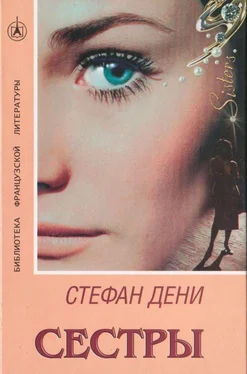 Стефан Дени Сестры обложка книги