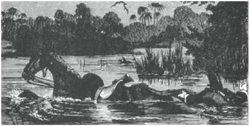 The eminent Victorian Galton 18221911 had a consuming interest in everything - фото 6