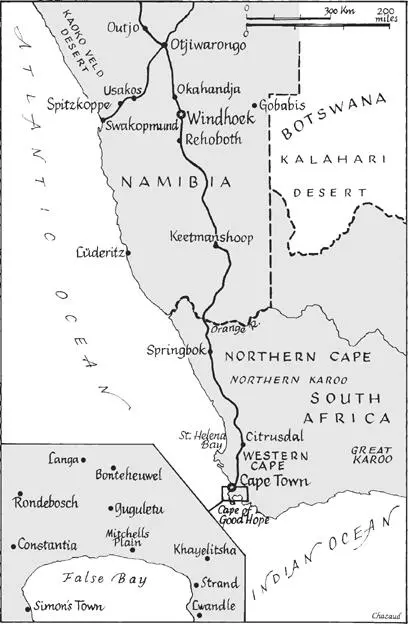 IN THE HOT FLAT BUSH in far northeast Namibia I crossed a bulging termite mound - фото 1