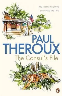 Paul Theroux The Consul's File обложка книги