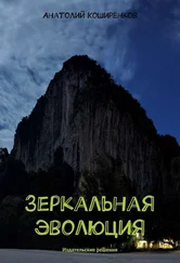Анатолий Коширенков - Зеркальная эволюция