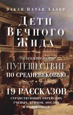 Элкан Адлер Дети Вечного Жида, или Увлекательное путешествие по Средневековью. 19 рассказов странствующих еврейских ученых, купцов, послов и паломников обложка книги