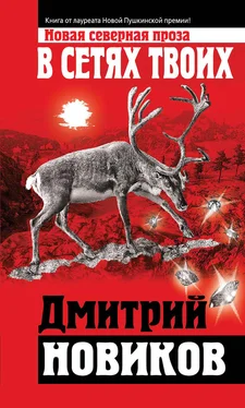 Дмитрий Новиков В сетях Твоих обложка книги