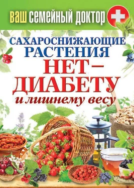 Сергей Кашин Сахароснижающие растения. Нет – диабету и лишнему весу обложка книги