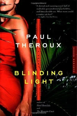 Paul Theroux Blinding Light обложка книги