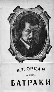Владислав Оркан Батраки обложка книги