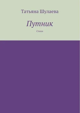 Татьяна Шулаева Путник обложка книги