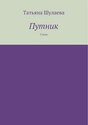 Татьяна Шулаева - Путник