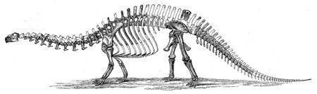 CHAPTER TWO THE CORRECTION In 1903 the scientists found out that the - фото 9