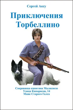 Сергей Аксу Приключения Торбеллино (трилогия) обложка книги