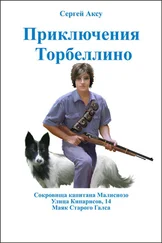 Сергей Аксу - Приключения Торбеллино (трилогия)