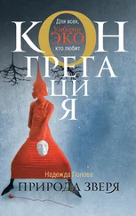 Надежда Попова - Природа зверя