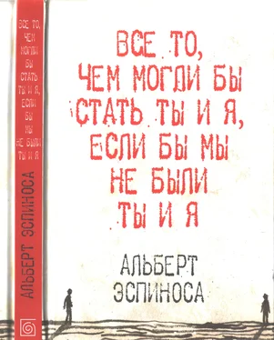 Альберт Эспиноса Все то, чем могли бы стать ты и я, если бы мы не были ты и я обложка книги