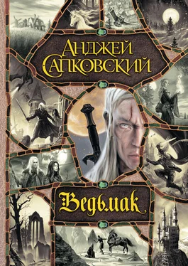 Анджей Сапковский Ведьмак (сборник) обложка книги