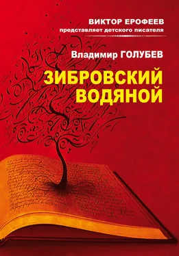 Владимир Голубев Зибровский водяной. Сказы обложка книги