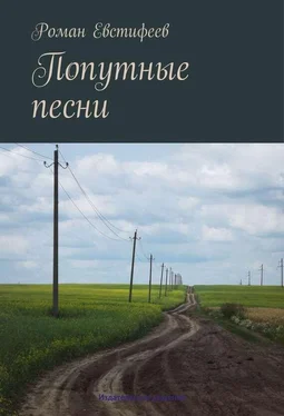 Роман Евстифеев Попутные песни обложка книги