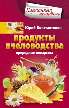 Юрий Константинов Продукты пчеловодства. Природные лекарства обложка книги