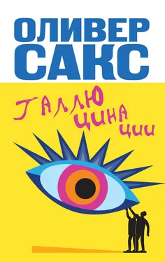 Оливер Сакс Галлюцинации обложка книги