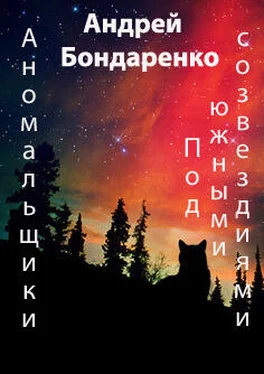 Андрей Бондаренко Под Южными Созвездиями обложка книги