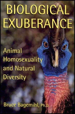 Bruce Bagemihl Biological Exuberance обложка книги