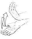 DESCRIPTION Arm is partially extended and raised while hand flips upward at - фото 16