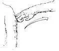 DESCRIPTION Arm is lifted up with palm down MEANING Position yourself - фото 19
